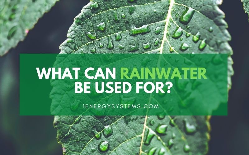 What Can Rainwater be Used for?