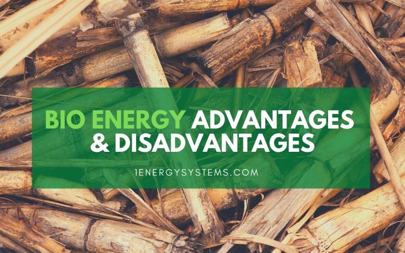 bio energy advantages and disadvantages