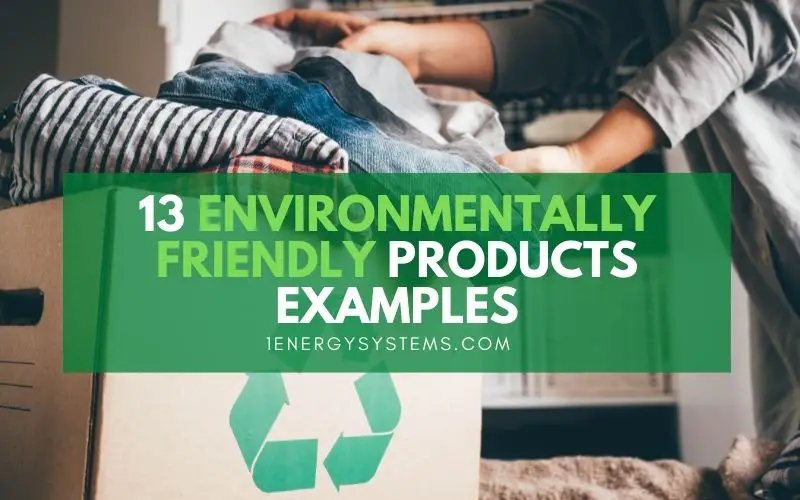 eco friendly products in daily life essay