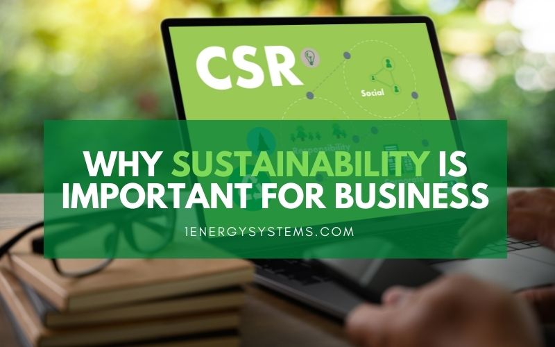 Why Sustainability is Important for Business
