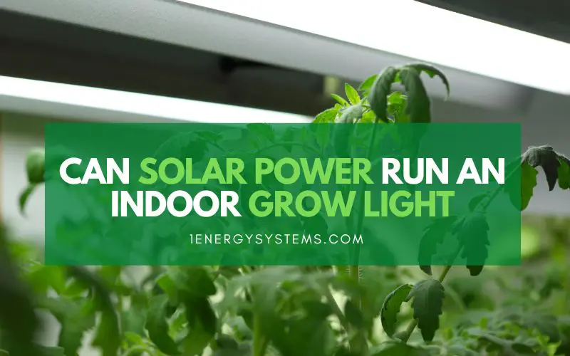 Solar powered plant light deals