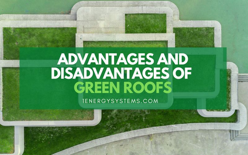 Advantages and Disadvantages of Green Roofs