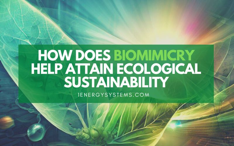 How Does Biomimicry Help Attain Ecological Sustainability