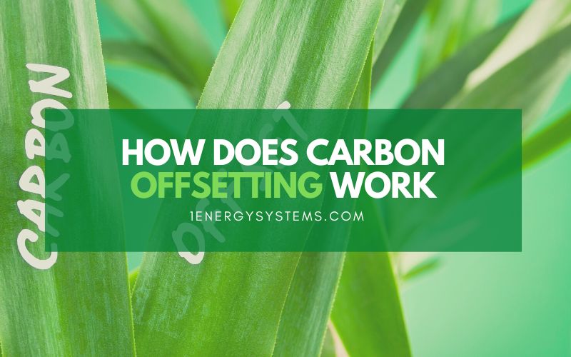 How Does Carbon Offsetting Work
