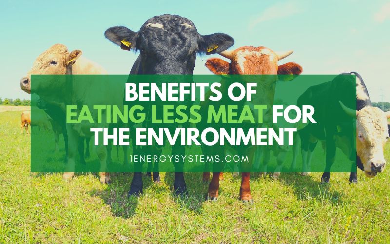 How Does Eating Less Meat Help The Environment