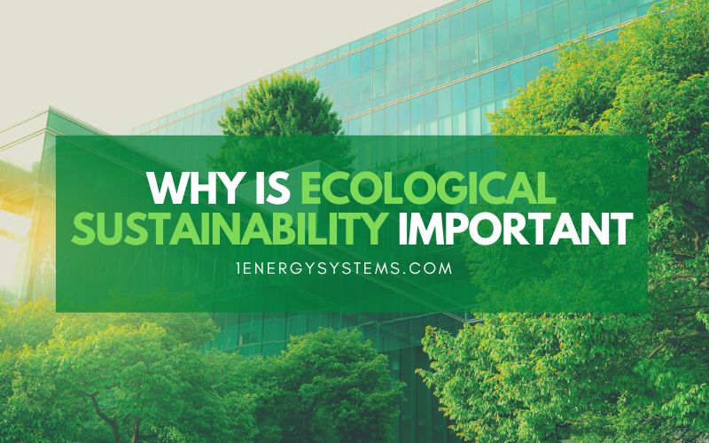 Why Is Ecological Sustainability Important