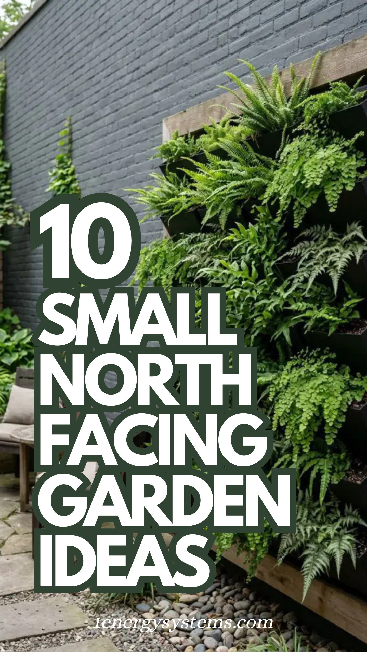 Small North Facing Garden Ideas